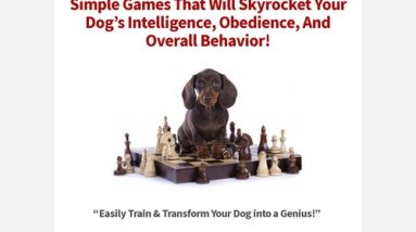 Brain Coaching for Dogs – Queer Dogs Coaching Course! Easy Promote!