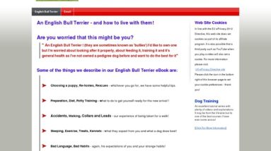 Learning To Live With An English Bull Terrier from Pet To Adult